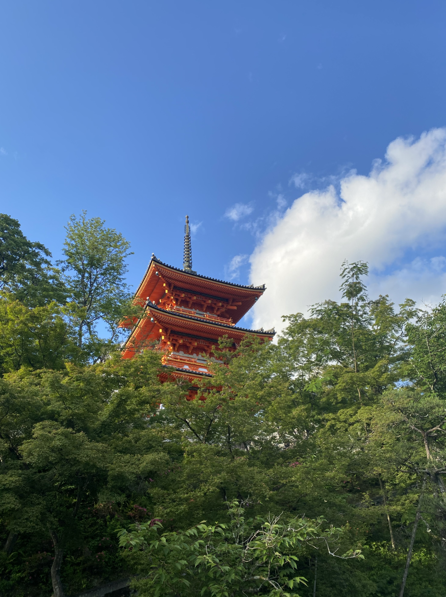 Kansai Insider: Secret Temples and Vintage Markets (2026)