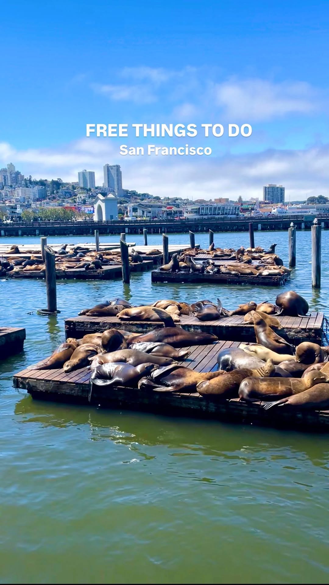 https://d2zmqyh8caa94h.cloudfront.net/creator_social_media_contents/instagram/reels/C-HBZmNvrSg/C-HBZmNvrSg.mp4
