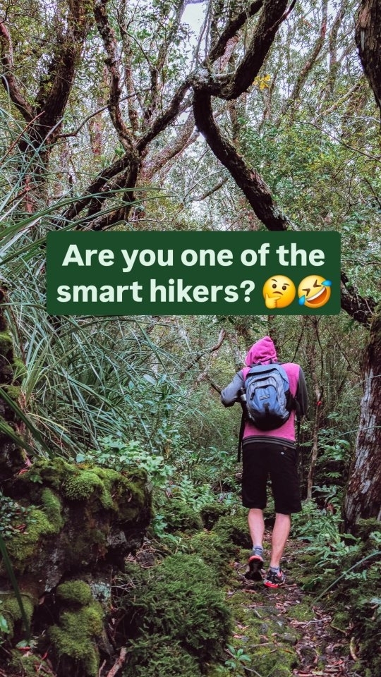 https://d2zmqyh8caa94h.cloudfront.net/creator_social_media_contents/instagram/reels/C-OWPcdS_zl/C-OWPcdS_zl.mp4