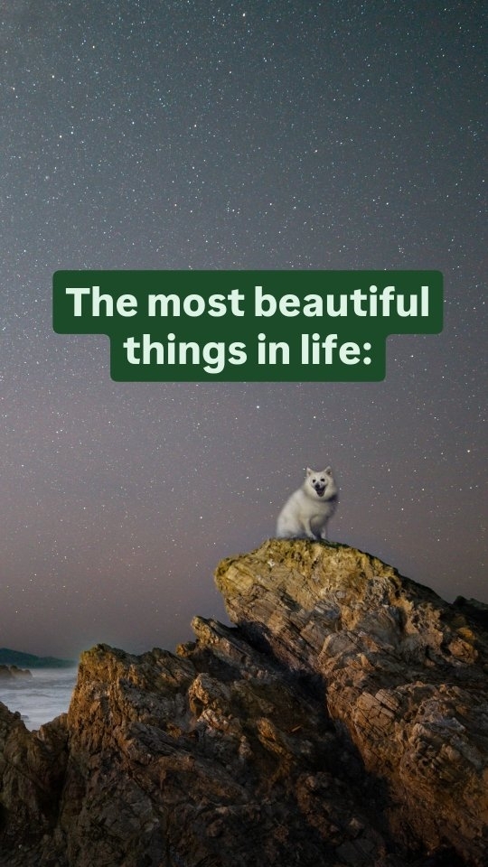 https://d2zmqyh8caa94h.cloudfront.net/creator_social_media_contents/instagram/reels/C-UUKVZJdu6/C-UUKVZJdu6.mp4