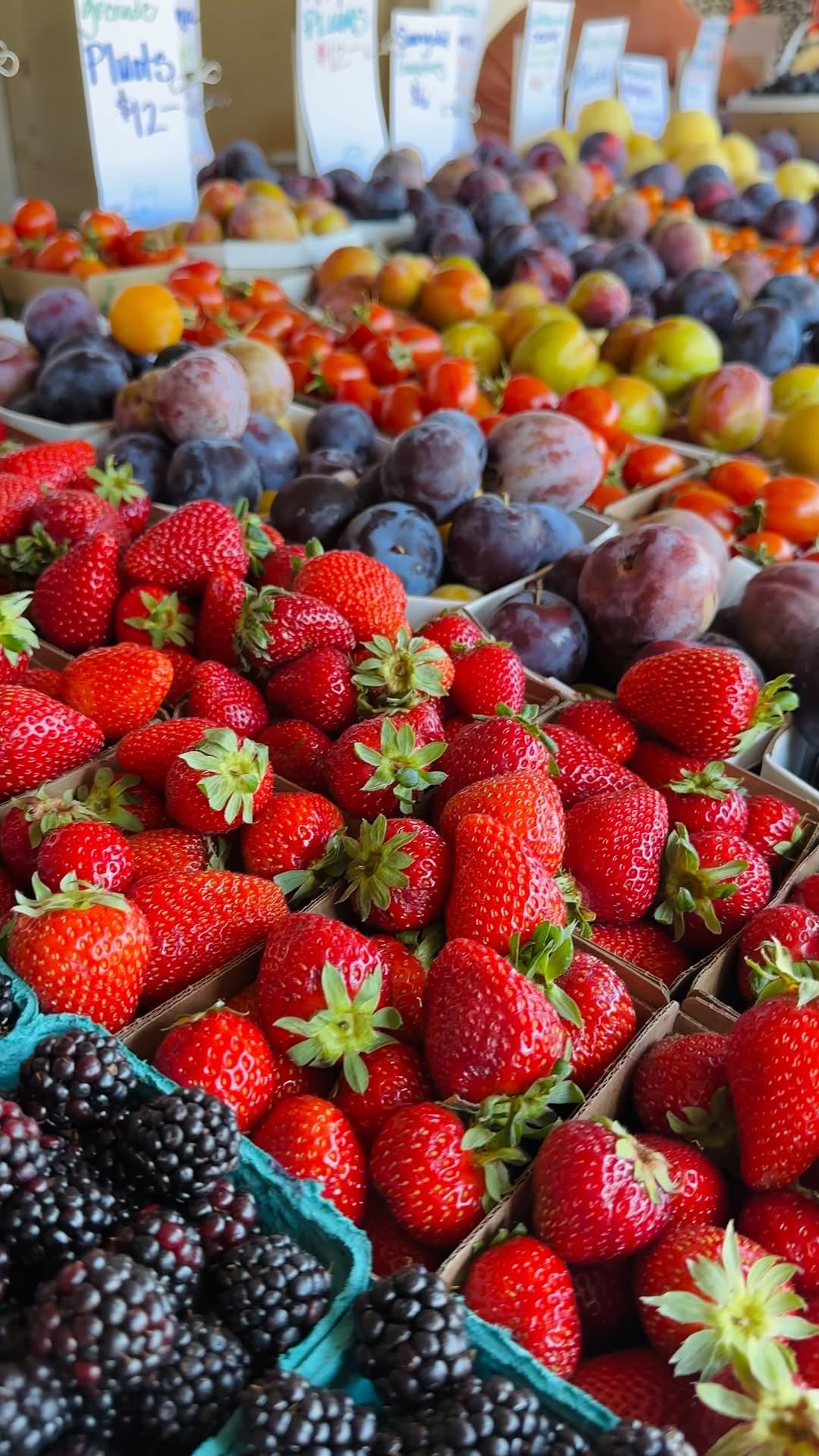 Oldest Farm Stand in South Bay