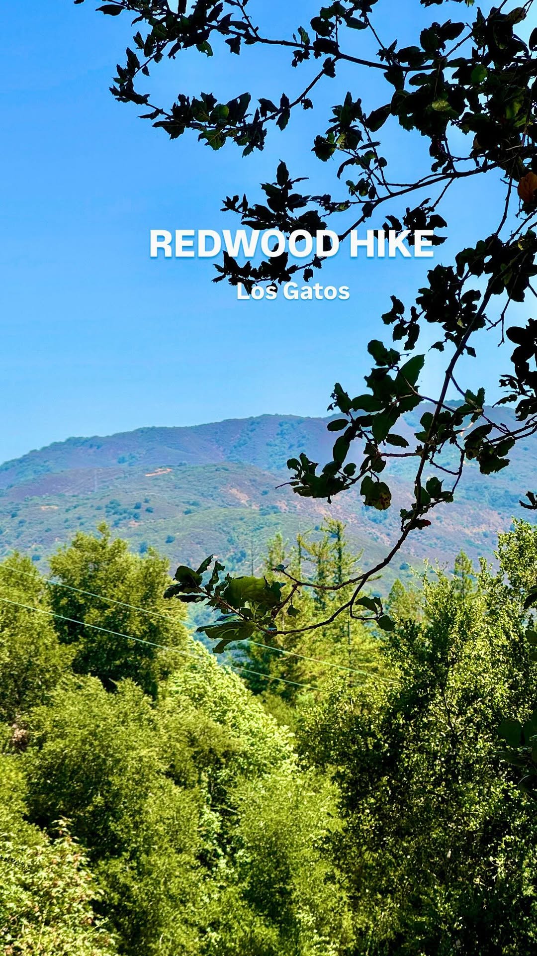 https://d2zmqyh8caa94h.cloudfront.net/creator_social_media_contents/instagram/reels/C-_rFaVPwsa/C-_rFaVPwsa.mp4