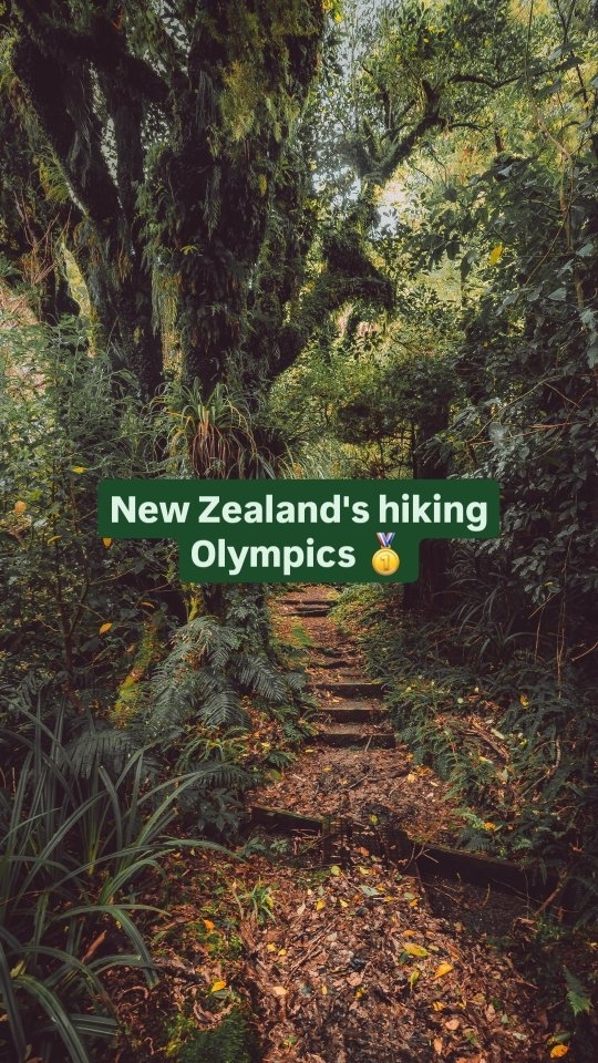 https://d2zmqyh8caa94h.cloudfront.net/creator_social_media_contents/instagram/reels/C-bc8Fky2Wx/C-bc8Fky2Wx.mp4