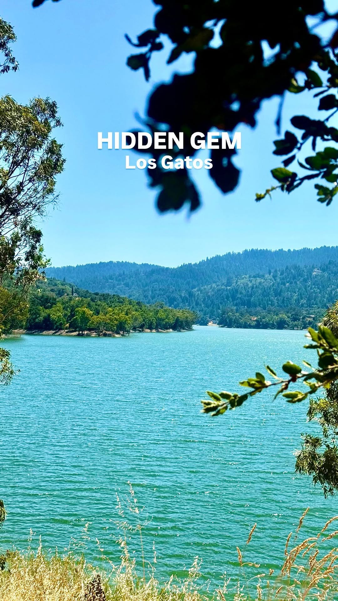 https://d2zmqyh8caa94h.cloudfront.net/creator_social_media_contents/instagram/reels/C-bpEsivYXt/C-bpEsivYXt.mp4
