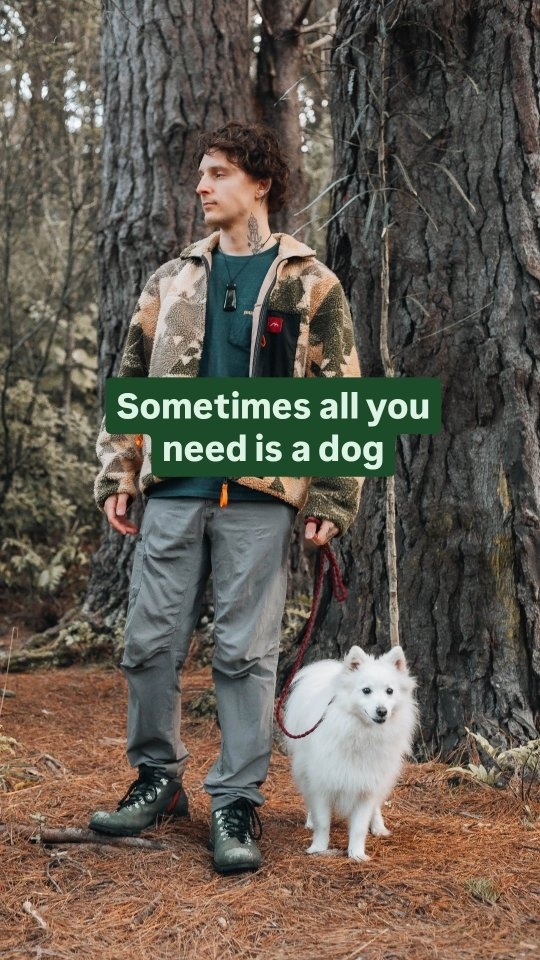 https://d2zmqyh8caa94h.cloudfront.net/creator_social_media_contents/instagram/reels/C-ewNh0JaPg/C-ewNh0JaPg.mp4