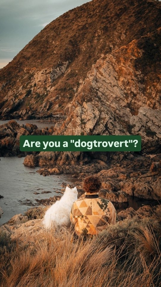 https://d2zmqyh8caa94h.cloudfront.net/creator_social_media_contents/instagram/reels/C-hEe-0Jp7A/C-hEe-0Jp7A.mp4