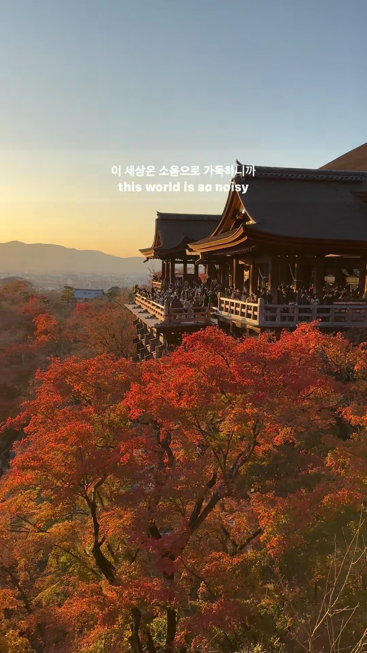 https://d2zmqyh8caa94h.cloudfront.net/creator_social_media_contents/instagram/reels/C0Anw4syegX/C0Anw4syegX.mp4