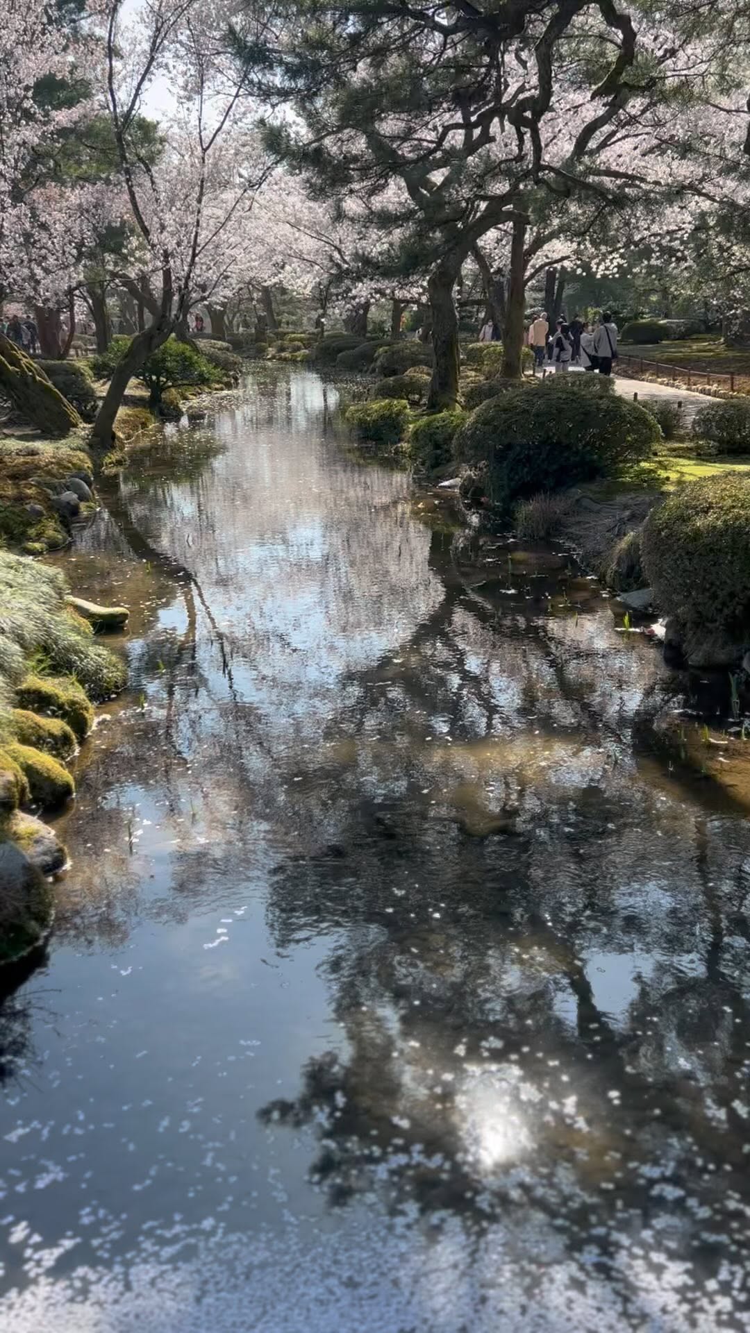 https://d2zmqyh8caa94h.cloudfront.net/creator_social_media_contents/instagram/reels/C0dmC1iPXKt/C0dmC1iPXKt.mp4