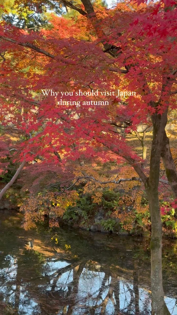 Kyoto's Golden Pavilion and Bishamondo Temple