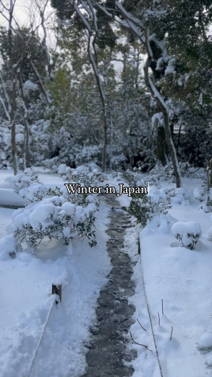 https://d2zmqyh8caa94h.cloudfront.net/creator_social_media_contents/instagram/reels/C10e_kAPZnl/C10e_kAPZnl.mp4