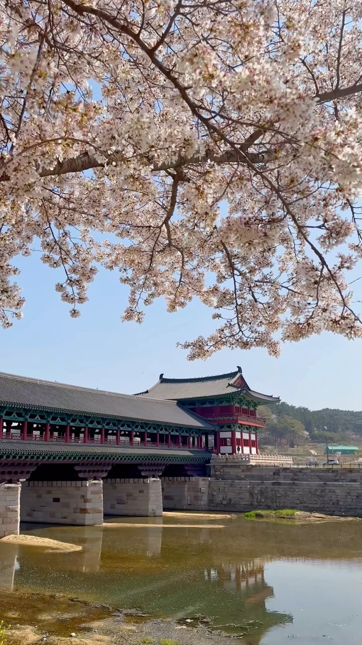 https://d2zmqyh8caa94h.cloudfront.net/creator_social_media_contents/instagram/reels/C114Y_tJ3LJ/C114Y_tJ3LJ.mp4