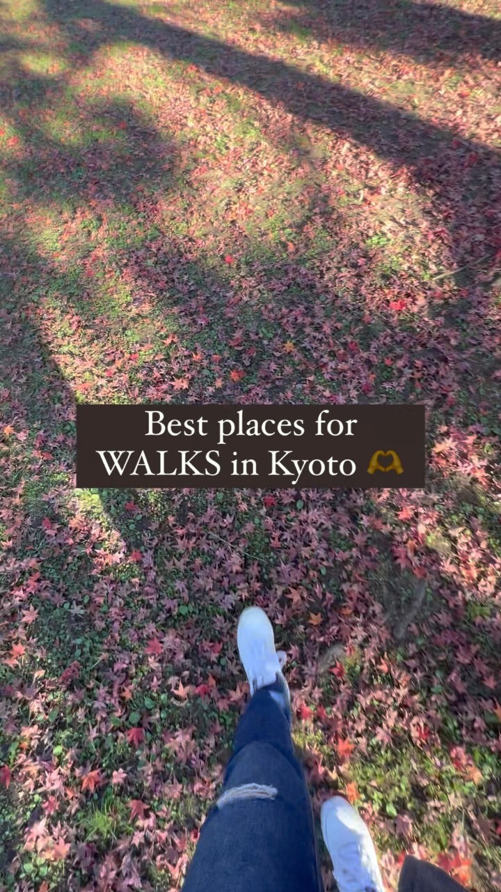 https://d2zmqyh8caa94h.cloudfront.net/creator_social_media_contents/instagram/reels/C16TiKNPshD/C16TiKNPshD.mp4