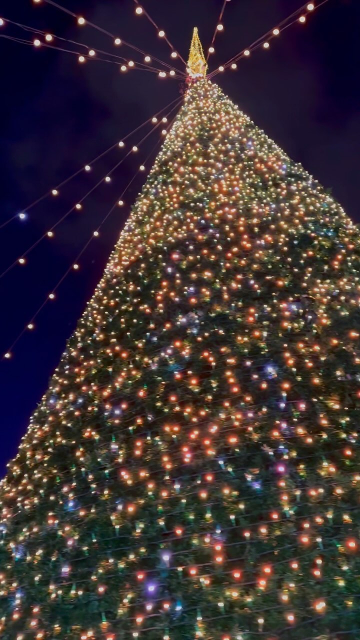 https://d2zmqyh8caa94h.cloudfront.net/creator_social_media_contents/instagram/reels/C1MU9y9Jb4i/C1MU9y9Jb4i.mp4