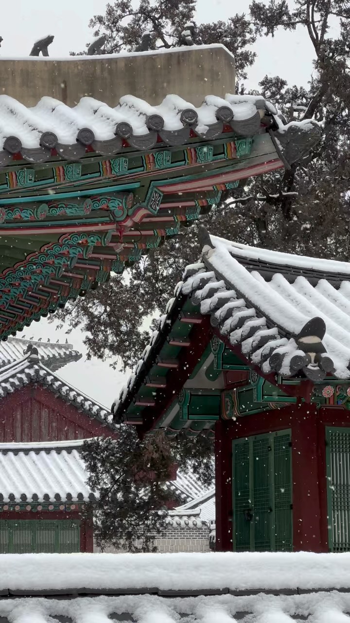https://d2zmqyh8caa94h.cloudfront.net/creator_social_media_contents/instagram/reels/C2aIFLtJ26t/C2aIFLtJ26t.mp4