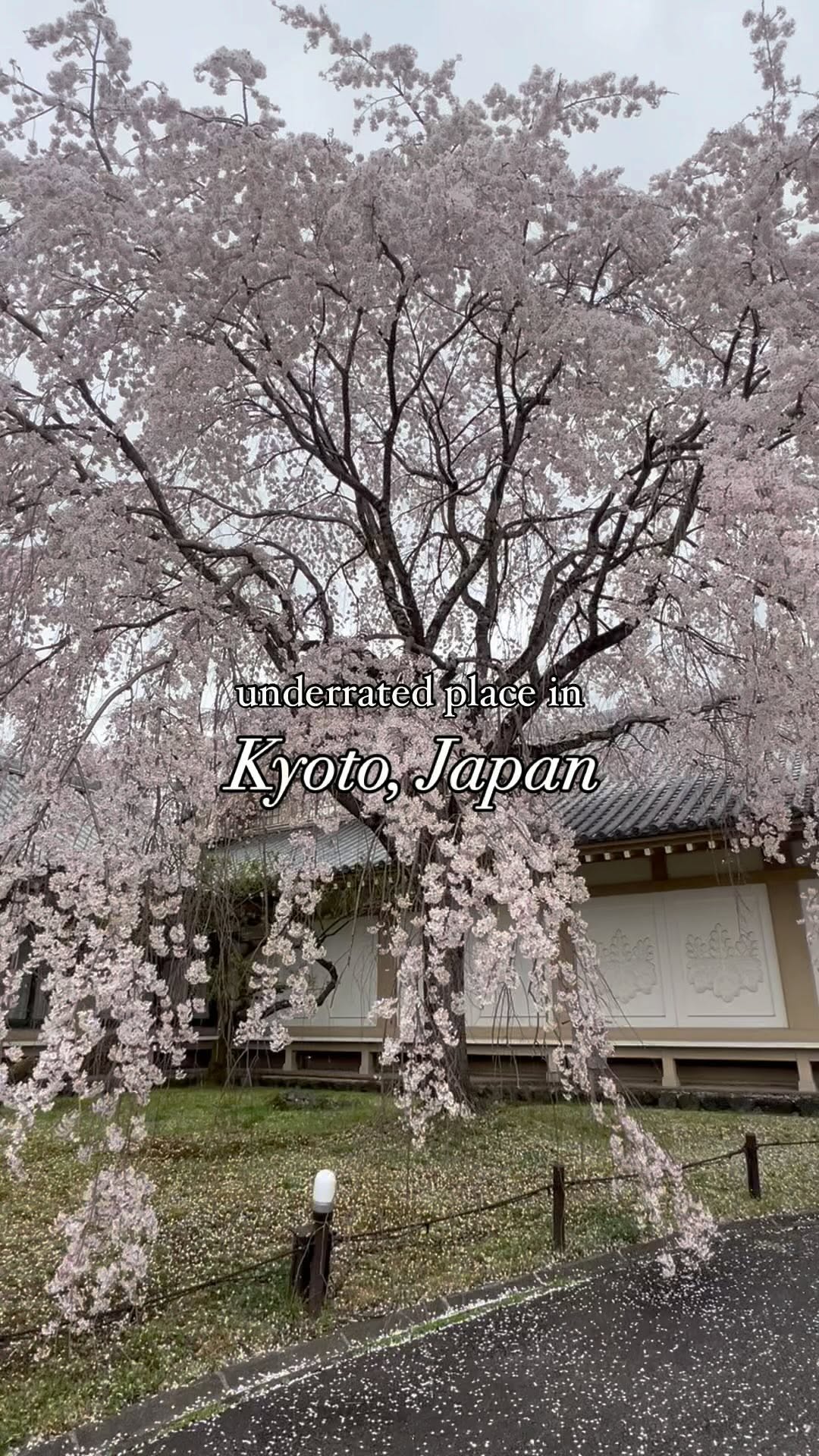 https://d2zmqyh8caa94h.cloudfront.net/creator_social_media_contents/instagram/reels/C3jXRTzPPSy/C3jXRTzPPSy.mp4