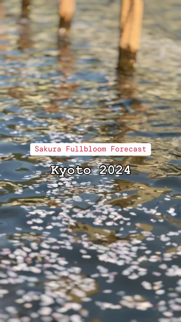 https://d2zmqyh8caa94h.cloudfront.net/creator_social_media_contents/instagram/reels/C44mm2pvapY/C44mm2pvapY.mp4