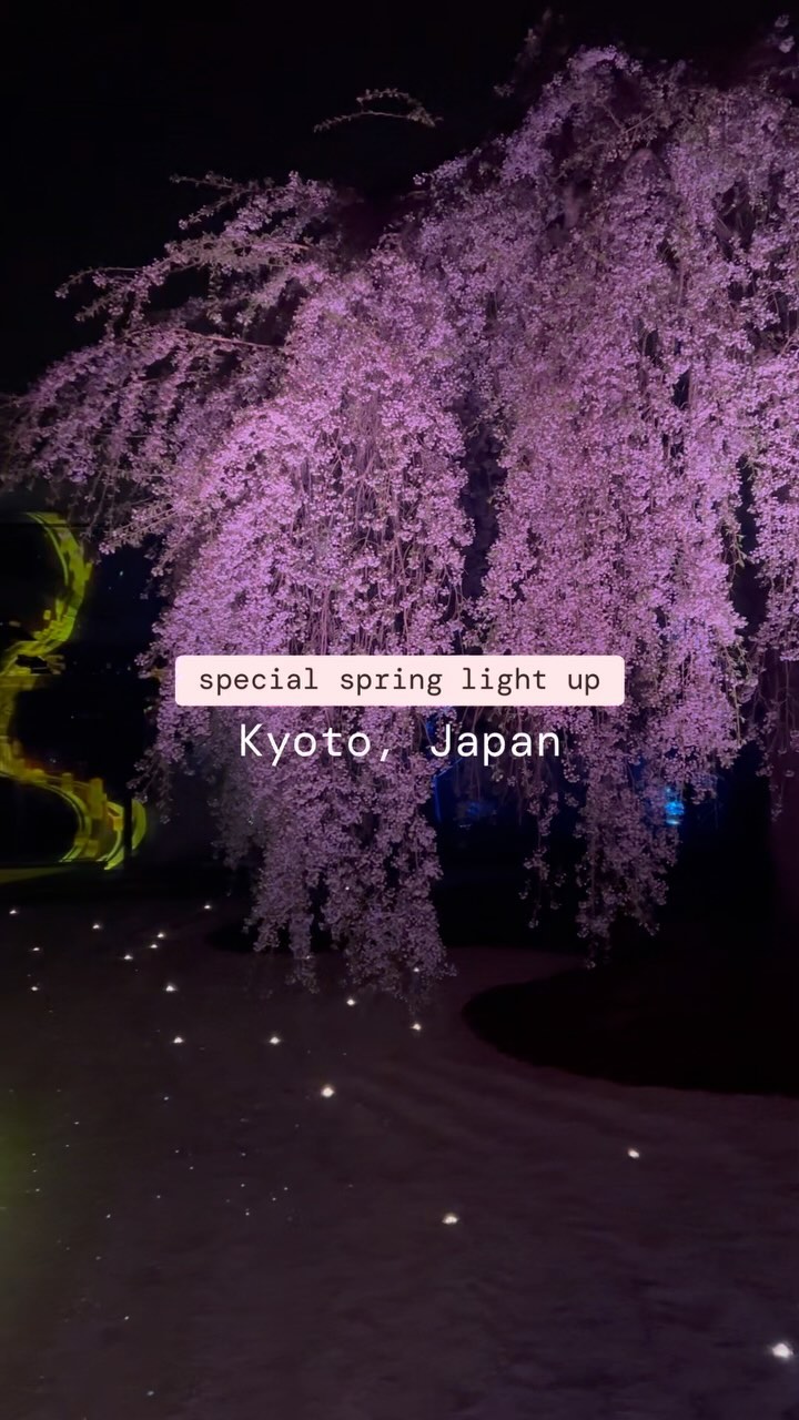 https://d2zmqyh8caa94h.cloudfront.net/creator_social_media_contents/instagram/reels/C4PQkhAPnvM/C4PQkhAPnvM.mp4