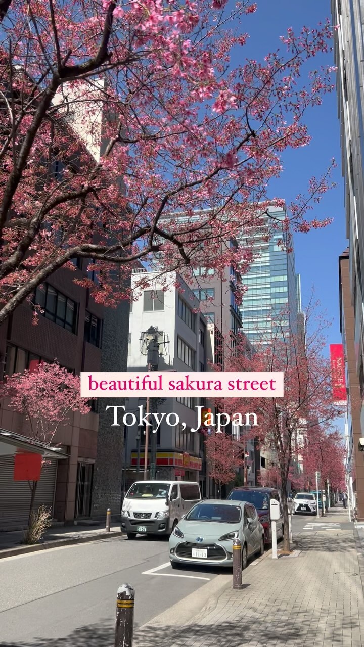 https://d2zmqyh8caa94h.cloudfront.net/creator_social_media_contents/instagram/reels/C4p-kEWvtQq/C4p-kEWvtQq.mp4