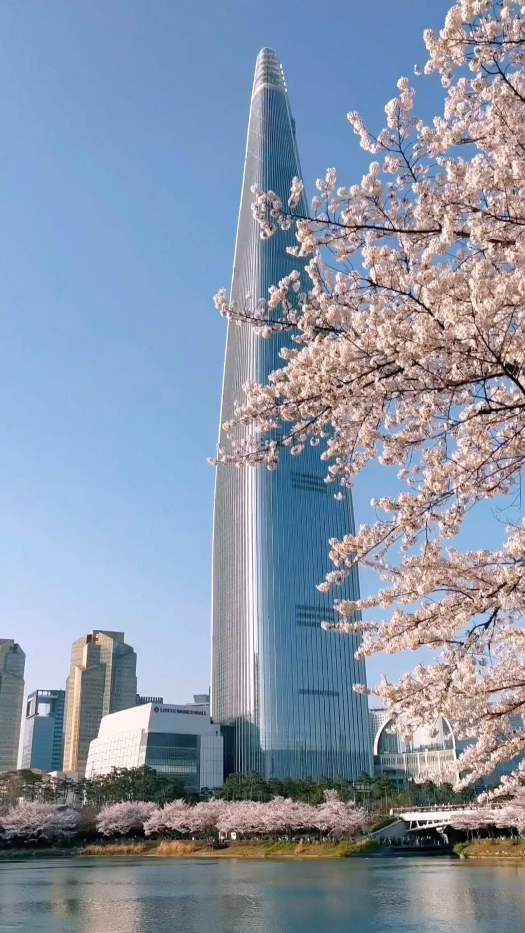 https://d2zmqyh8caa94h.cloudfront.net/creator_social_media_contents/instagram/reels/C5BM9LWp6Xp/C5BM9LWp6Xp.mp4