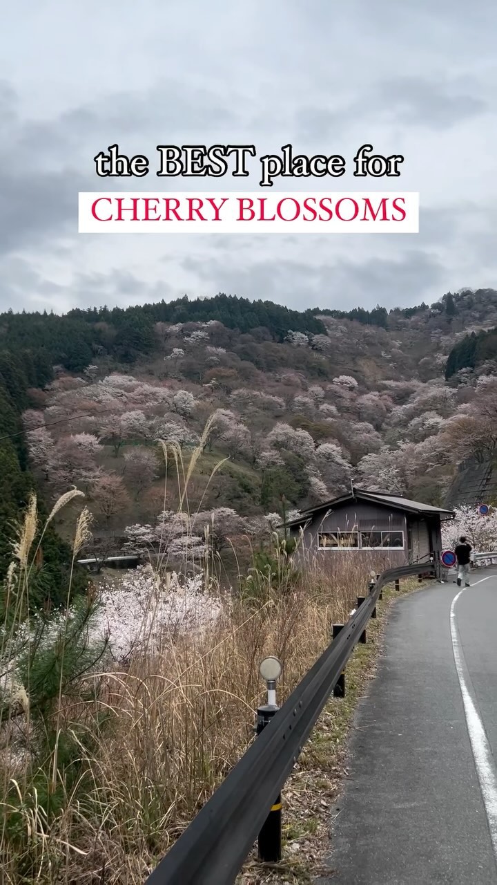 https://d2zmqyh8caa94h.cloudfront.net/creator_social_media_contents/instagram/reels/C5YXjrVvgBQ/C5YXjrVvgBQ.mp4