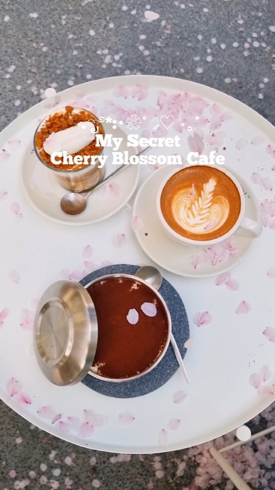 https://d2zmqyh8caa94h.cloudfront.net/creator_social_media_contents/instagram/reels/C5YpouqRXKD/C5YpouqRXKD.mp4