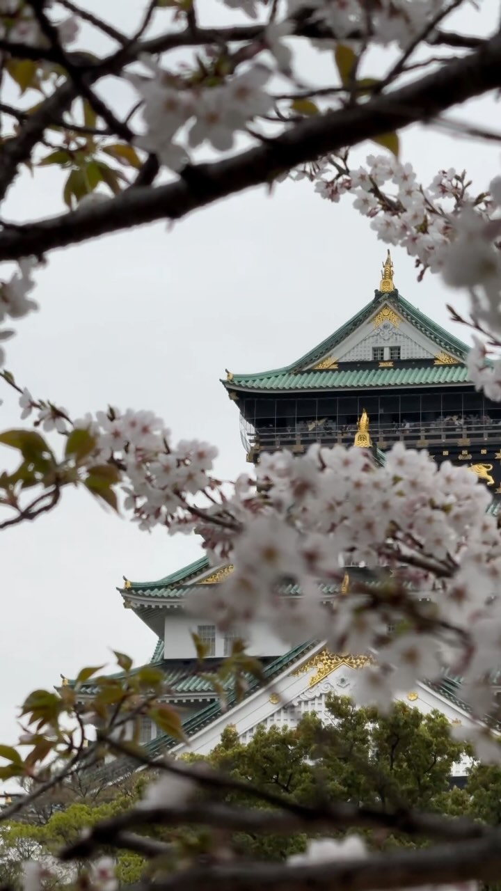 Osaka Castle Park and Kema Sakuranomiya Park