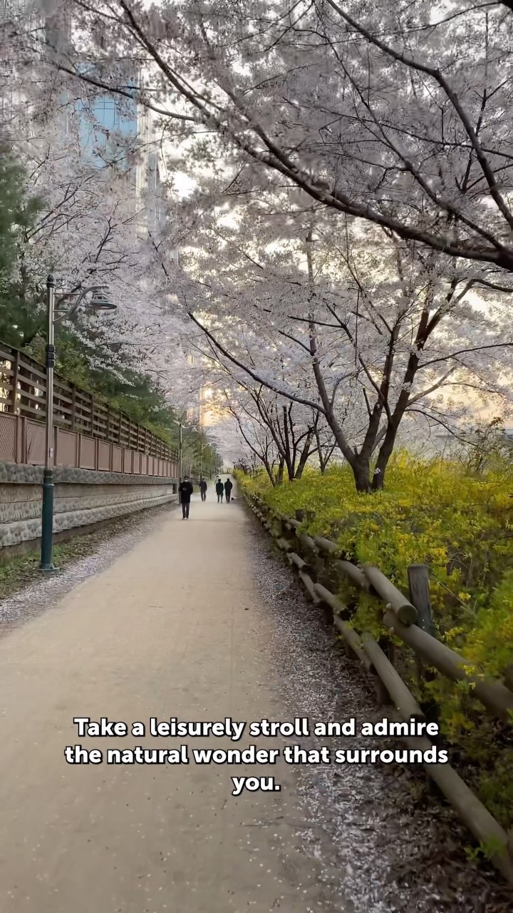https://d2zmqyh8caa94h.cloudfront.net/creator_social_media_contents/instagram/reels/C5n8JvEJ-dQ/C5n8JvEJ-dQ.mp4