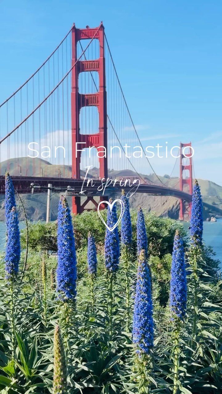 https://d2zmqyh8caa94h.cloudfront.net/creator_social_media_contents/instagram/reels/C5pLOTbxlrR/C5pLOTbxlrR.mp4