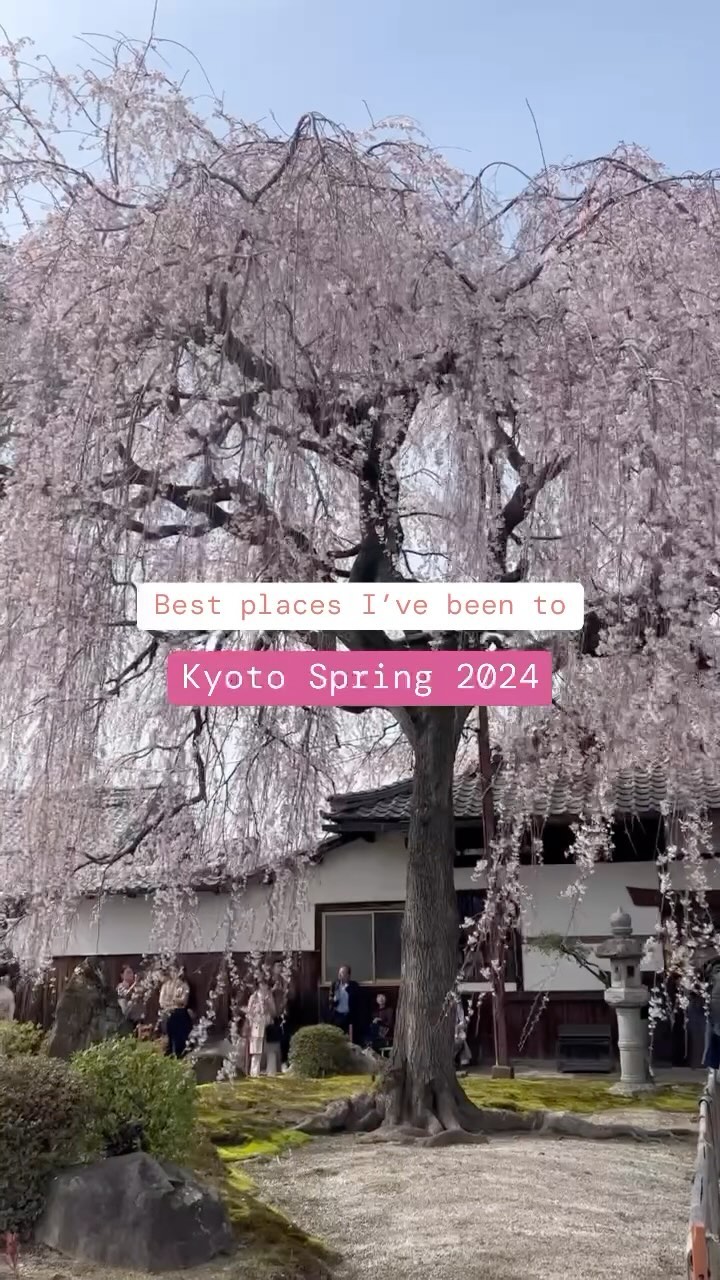 https://d2zmqyh8caa94h.cloudfront.net/creator_social_media_contents/instagram/reels/C6BmxpdP1g4/C6BmxpdP1g4.mp4