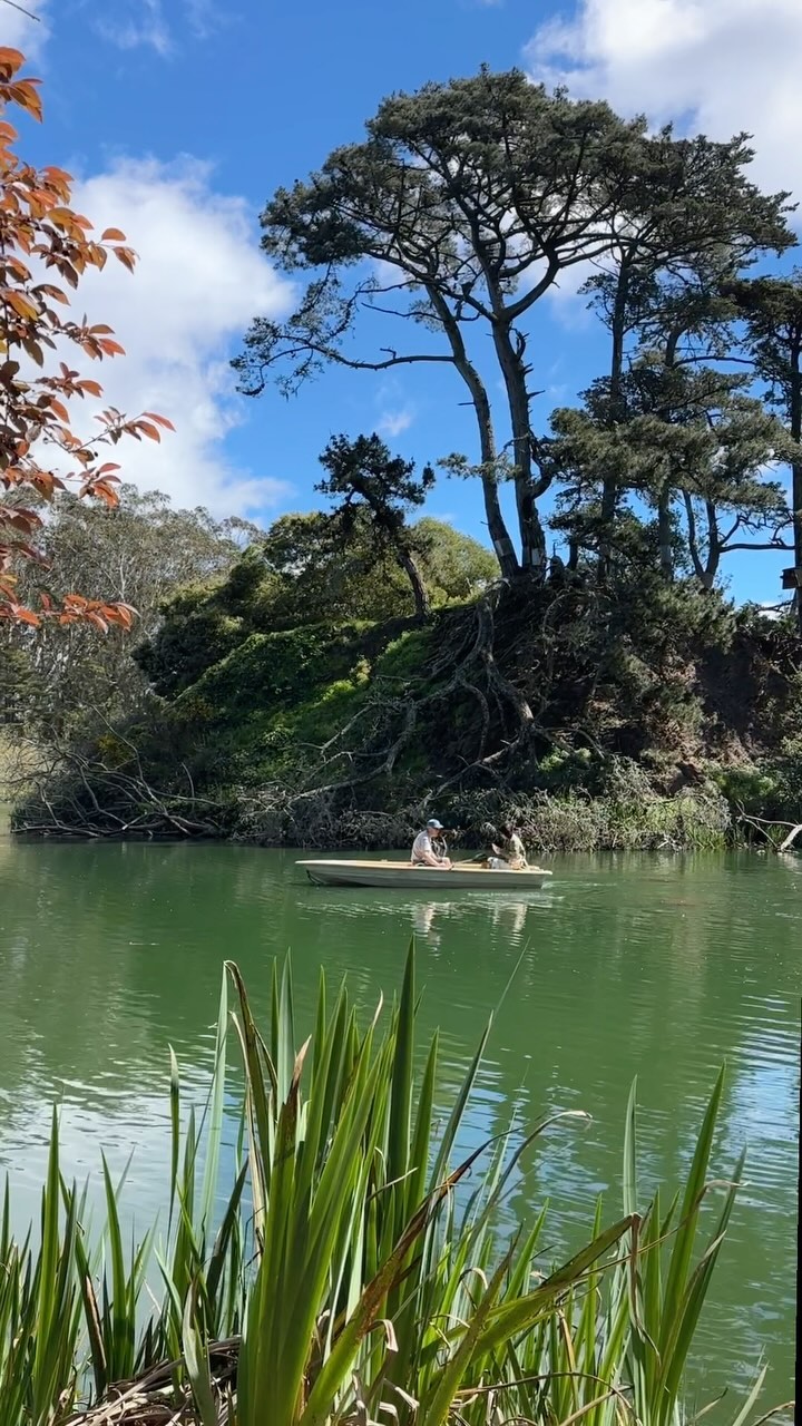San Francisco Parks Bursting With Spring Blooms
