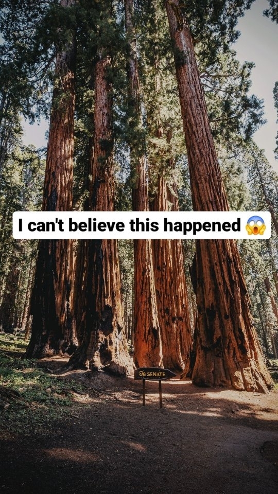 https://d2zmqyh8caa94h.cloudfront.net/creator_social_media_contents/instagram/reels/C7-uSDKP8y4/C7-uSDKP8y4.mp4
