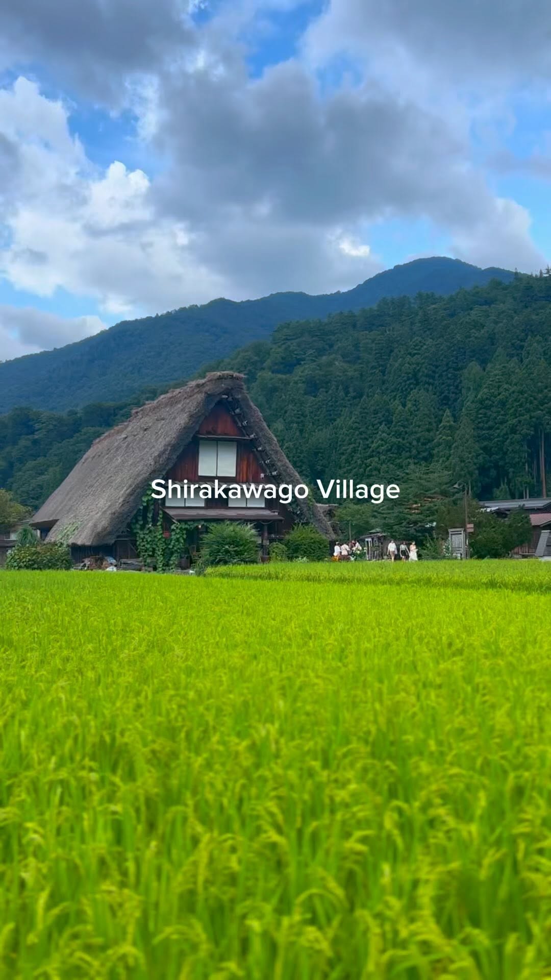 Discover Shirakawa Village's Unique Charm