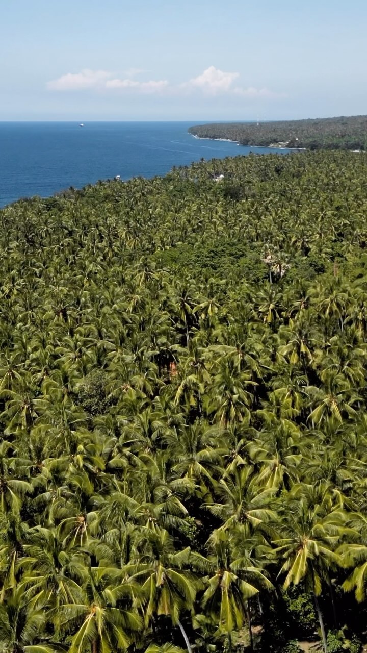 https://d2zmqyh8caa94h.cloudfront.net/creator_social_media_contents/instagram/reels/C7NnknjvTlo/C7NnknjvTlo.mp4