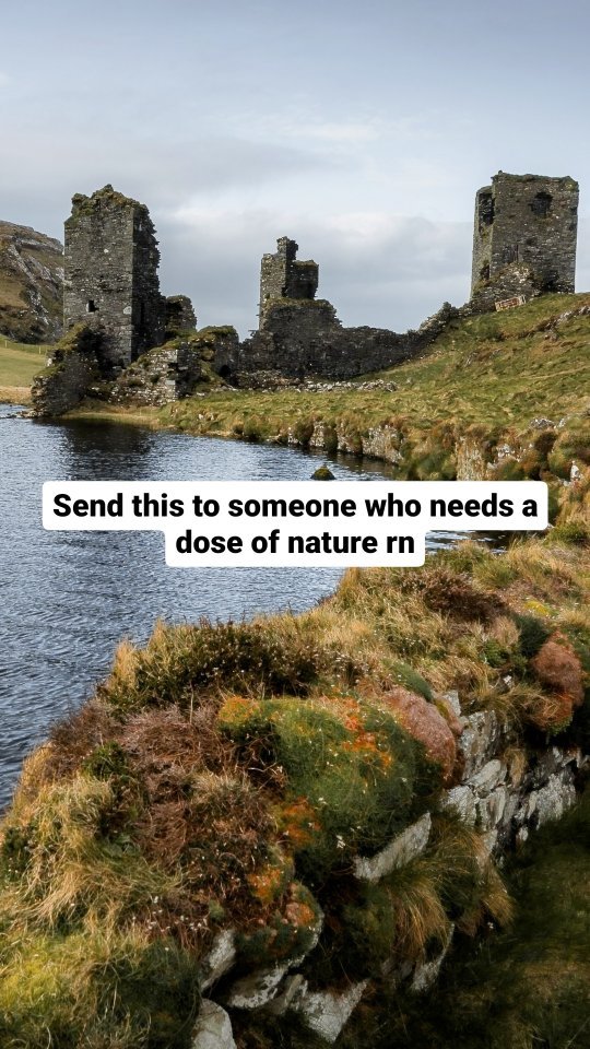 https://d2zmqyh8caa94h.cloudfront.net/creator_social_media_contents/instagram/reels/C7QobT9vq5F/C7QobT9vq5F.mp4
