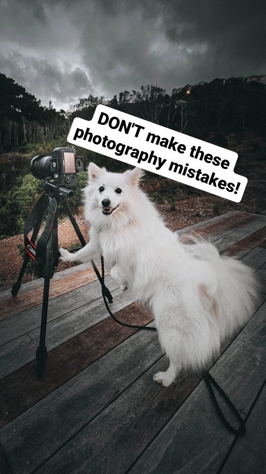 https://d2zmqyh8caa94h.cloudfront.net/creator_social_media_contents/instagram/reels/C7lThmrP4eB/C7lThmrP4eB.mp4