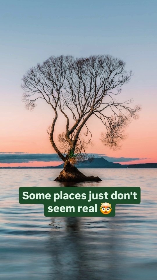 https://d2zmqyh8caa94h.cloudfront.net/creator_social_media_contents/instagram/reels/C832v47pgzi/C832v47pgzi.mp4