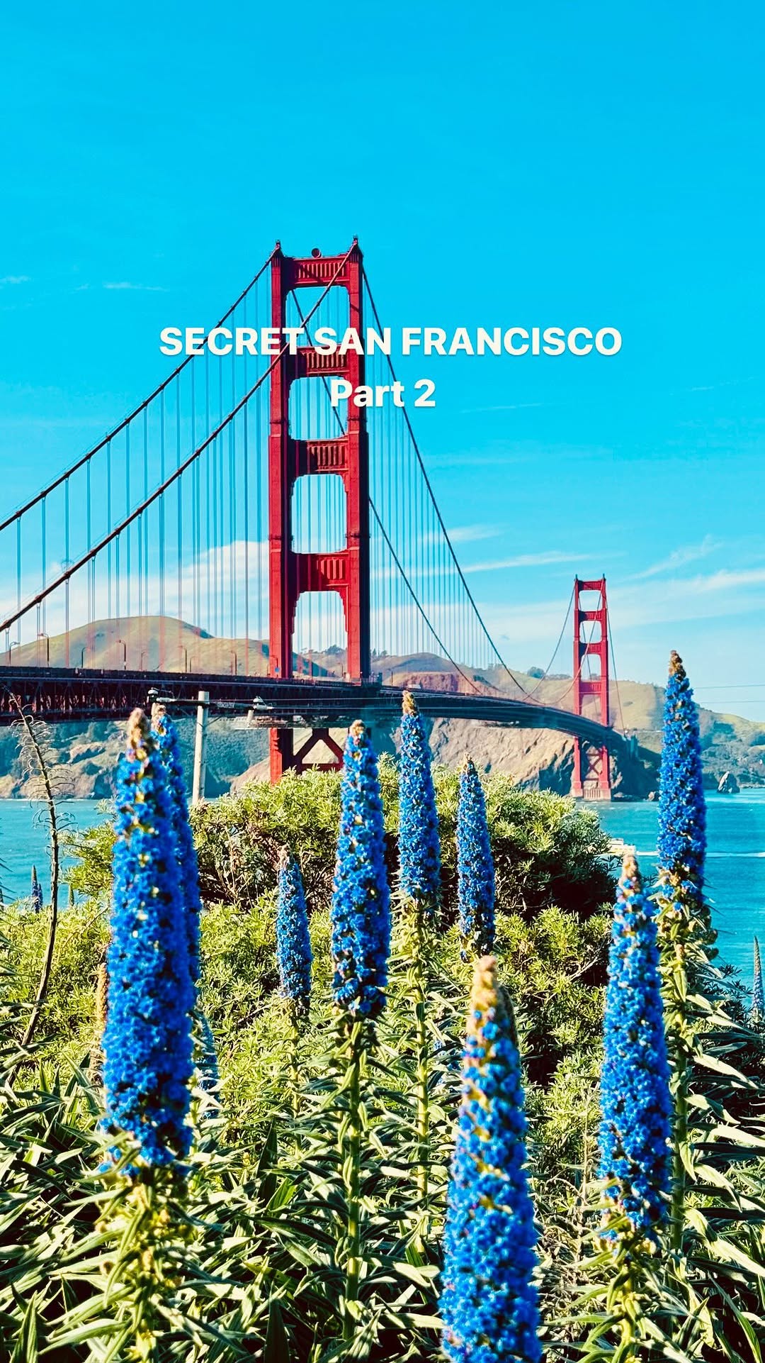 https://d2zmqyh8caa94h.cloudfront.net/creator_social_media_contents/instagram/reels/C85rwS_Piln/C85rwS_Piln.mp4