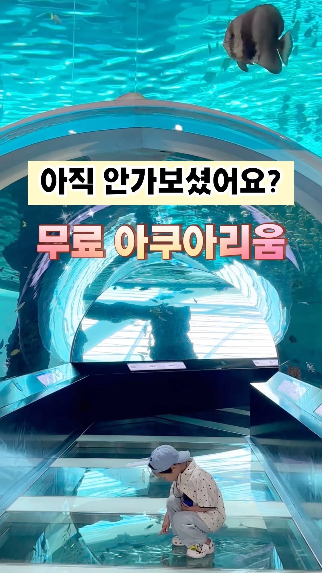 Child Explores Vast SEALIFE Busan Aquarium Exhibits