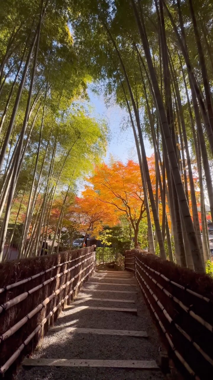 https://d2zmqyh8caa94h.cloudfront.net/creator_social_media_contents/instagram/reels/C8WT6g8y_WO/C8WT6g8y_WO.mp4
