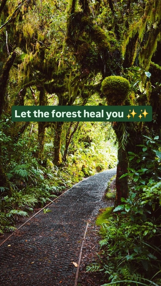 https://d2zmqyh8caa94h.cloudfront.net/creator_social_media_contents/instagram/reels/C91V5pUJAyP/C91V5pUJAyP.mp4