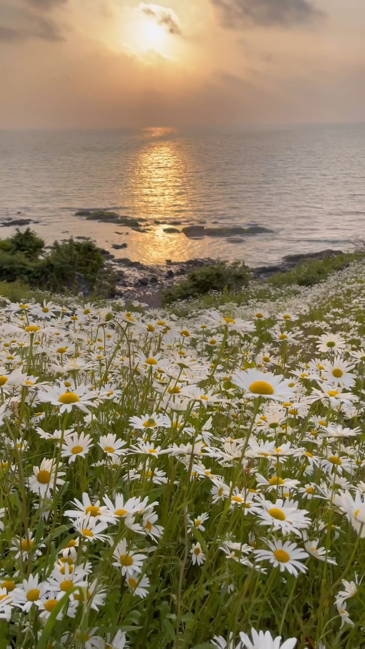 https://d2zmqyh8caa94h.cloudfront.net/creator_social_media_contents/instagram/reels/C97gTFqoMqW/C97gTFqoMqW.mp4
