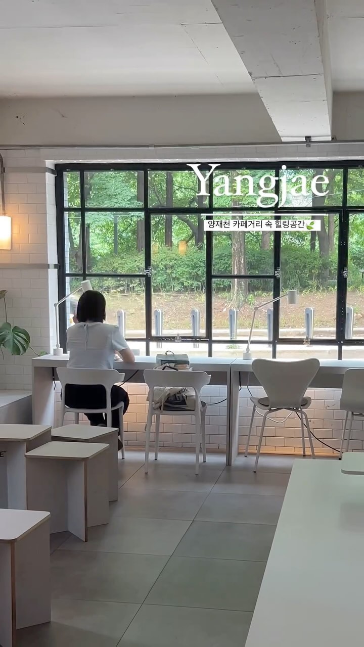 Yangjaecheon Cafe Street: A Green Oasis