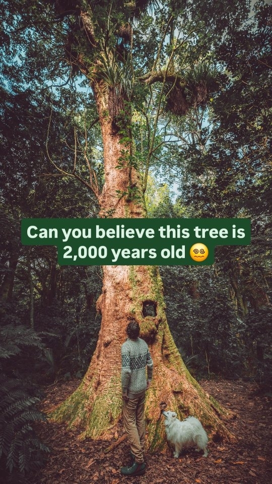 https://d2zmqyh8caa94h.cloudfront.net/creator_social_media_contents/instagram/reels/C9Jn7dMvNfZ/C9Jn7dMvNfZ.mp4