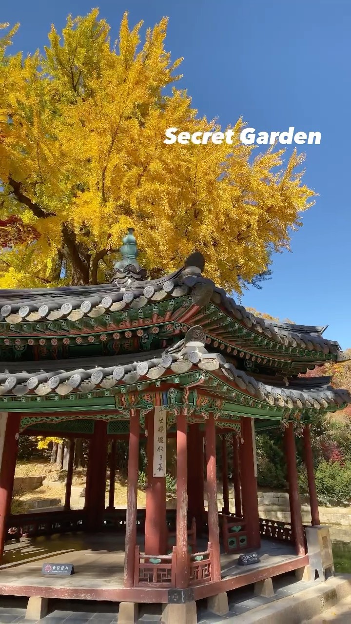 https://d2zmqyh8caa94h.cloudfront.net/creator_social_media_contents/instagram/reels/CHxs0JMDHse/CHxs0JMDHse.mp4