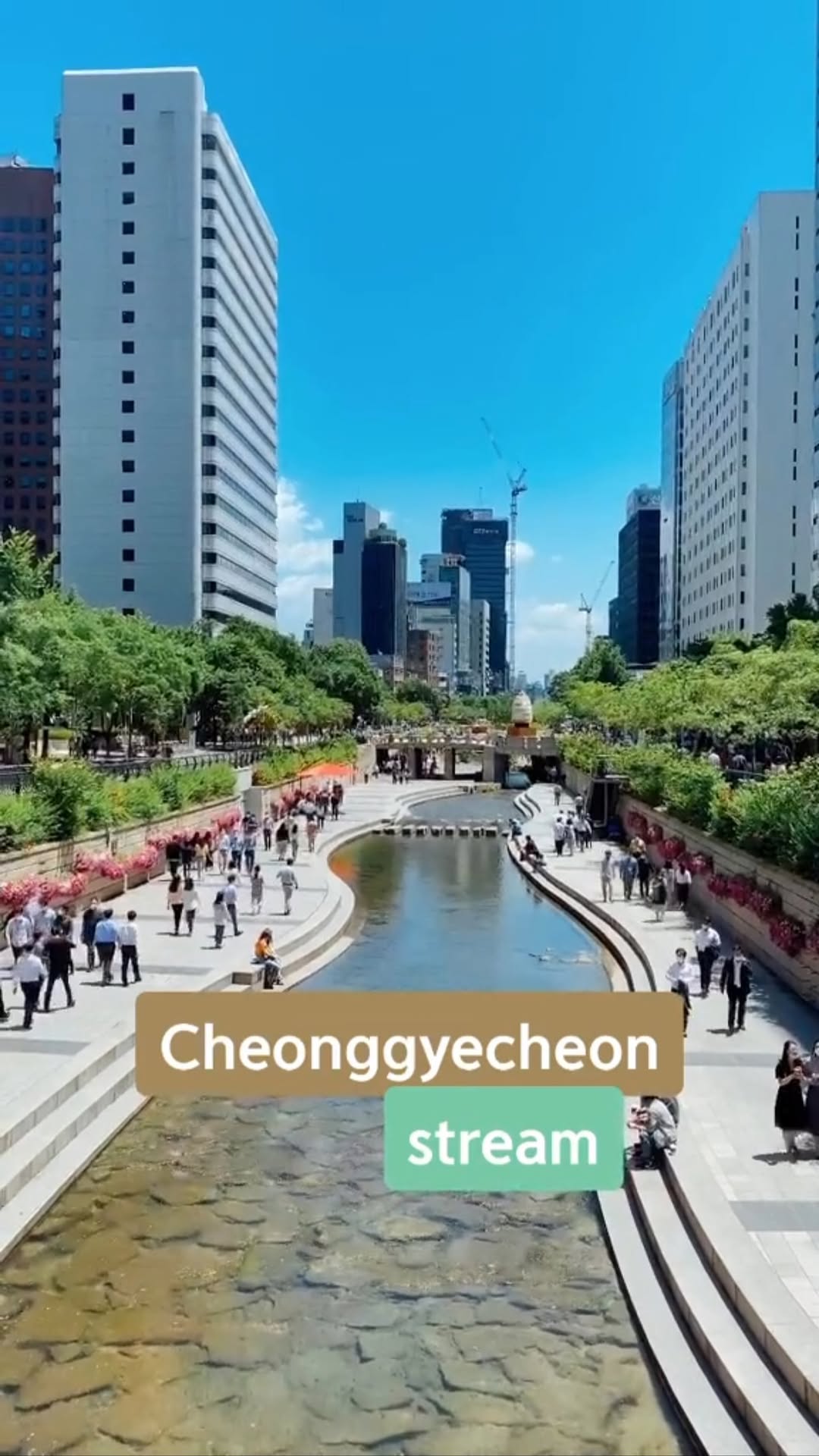 https://d2zmqyh8caa94h.cloudfront.net/creator_social_media_contents/instagram/reels/CK9DxpnDhJW/CK9DxpnDhJW.mp4