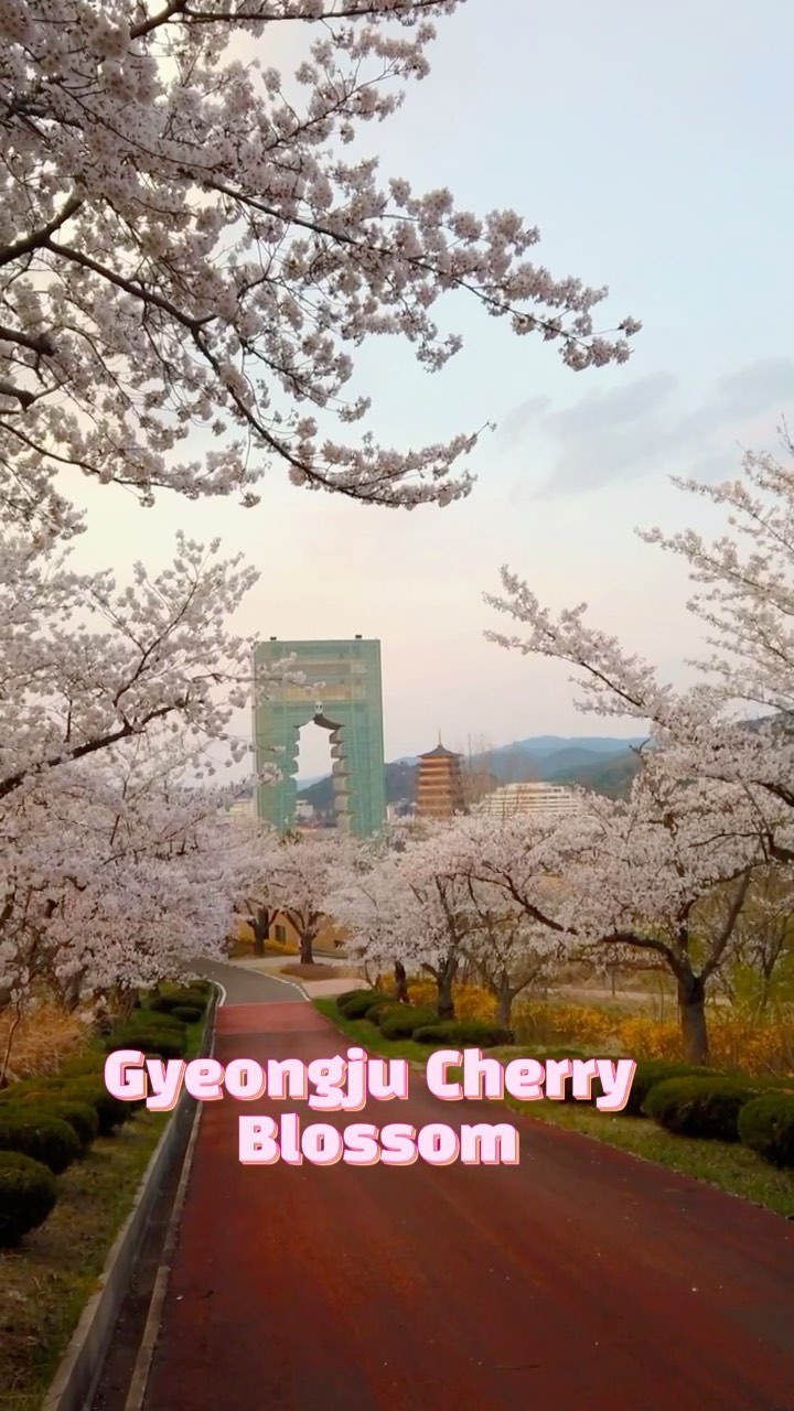 https://d2zmqyh8caa94h.cloudfront.net/creator_social_media_contents/instagram/reels/CL14ENcDwHS/CL14ENcDwHS.mp4