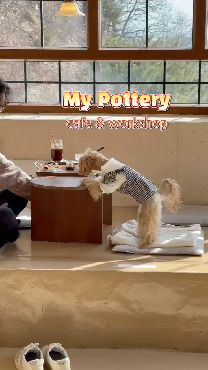 https://d2zmqyh8caa94h.cloudfront.net/creator_social_media_contents/instagram/reels/CLTbLsqjAph/CLTbLsqjAph.mp4