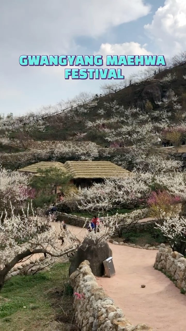 https://d2zmqyh8caa94h.cloudfront.net/creator_social_media_contents/instagram/reels/CLrgRoOjZDL/CLrgRoOjZDL.mp4