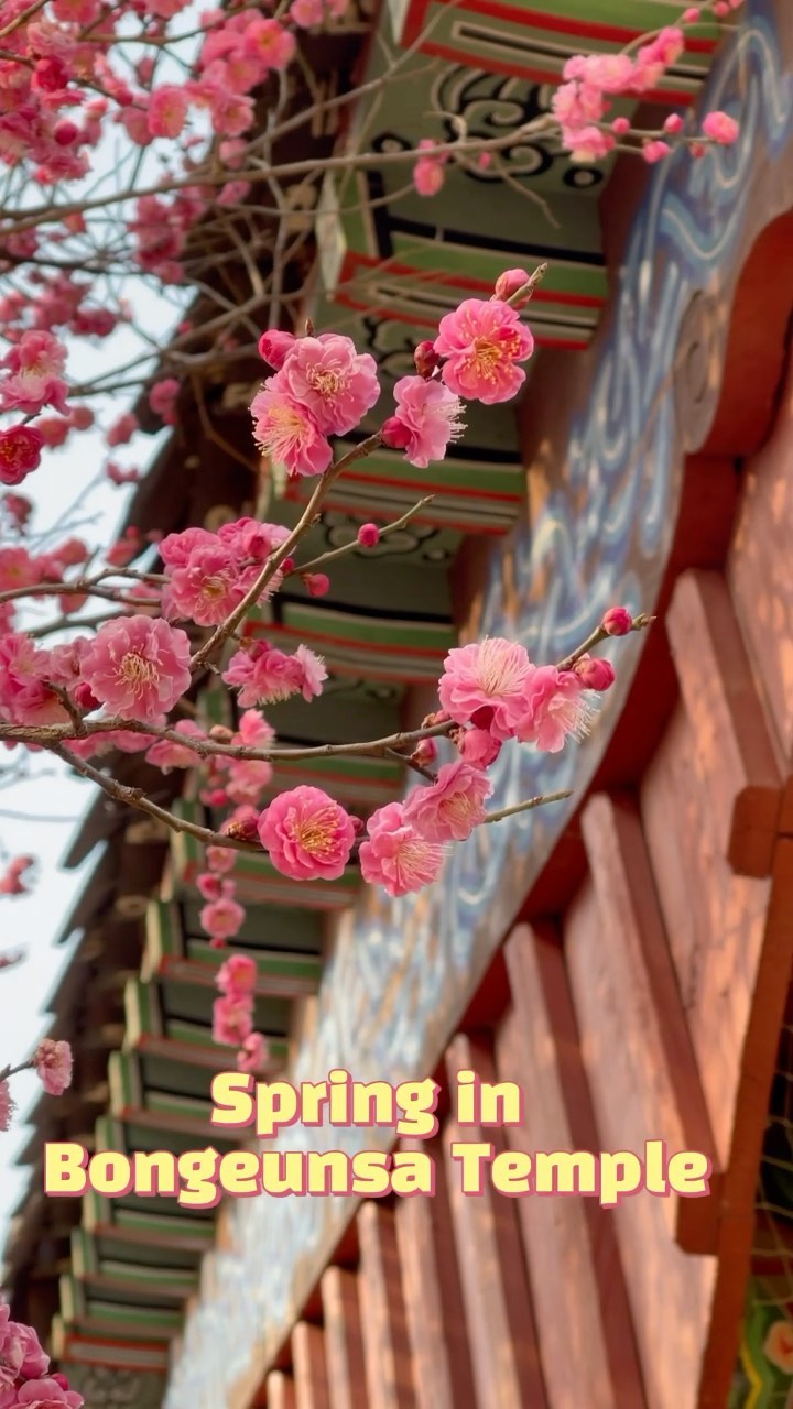 https://d2zmqyh8caa94h.cloudfront.net/creator_social_media_contents/instagram/reels/CMrUryPjaHi/CMrUryPjaHi.mp4