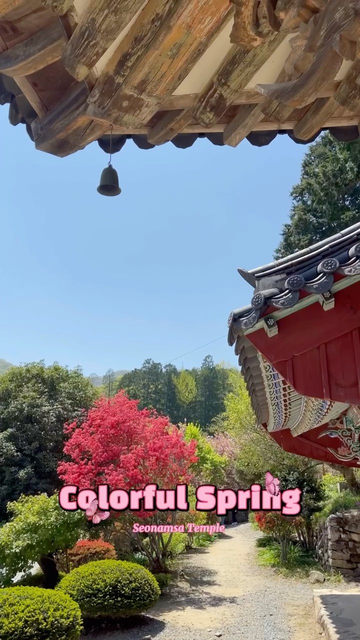 https://d2zmqyh8caa94h.cloudfront.net/creator_social_media_contents/instagram/reels/CN9usi7Dx9r/CN9usi7Dx9r.mp4
